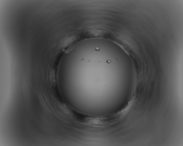 X0000088210182200705221751
