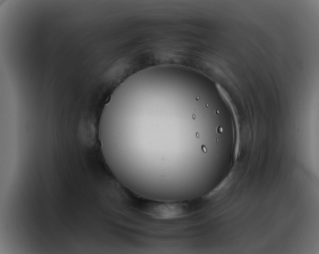 X0000088210183200705221751