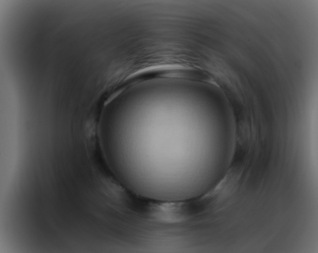X0000088210184200705221751