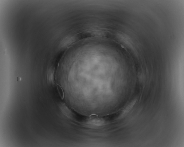 X0000088210185200705221751