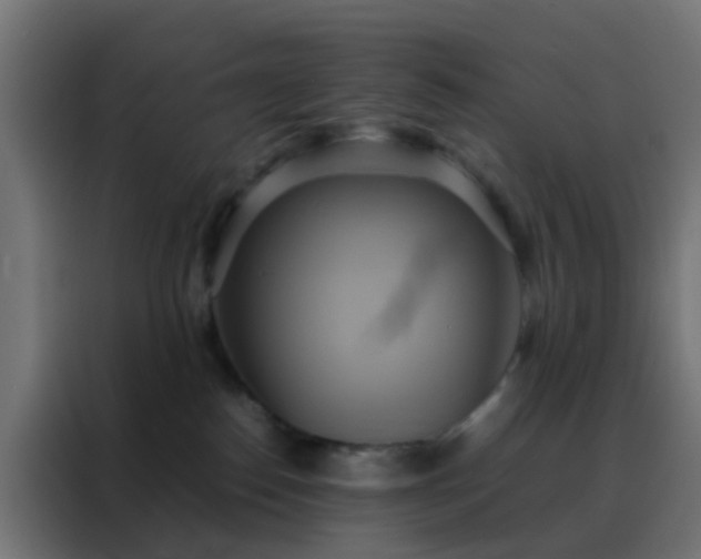 X0000088210186200705221751