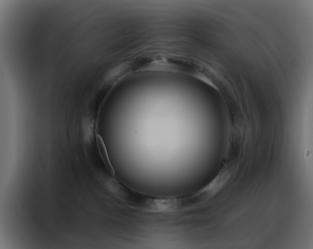 X0000088210188200705221751