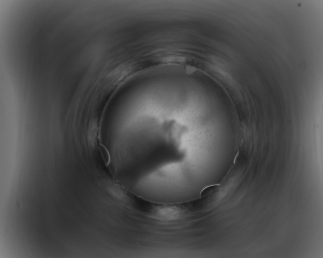 X0000088210189200705221751