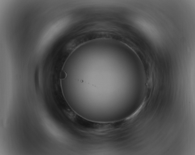 X0000088210191200705221751