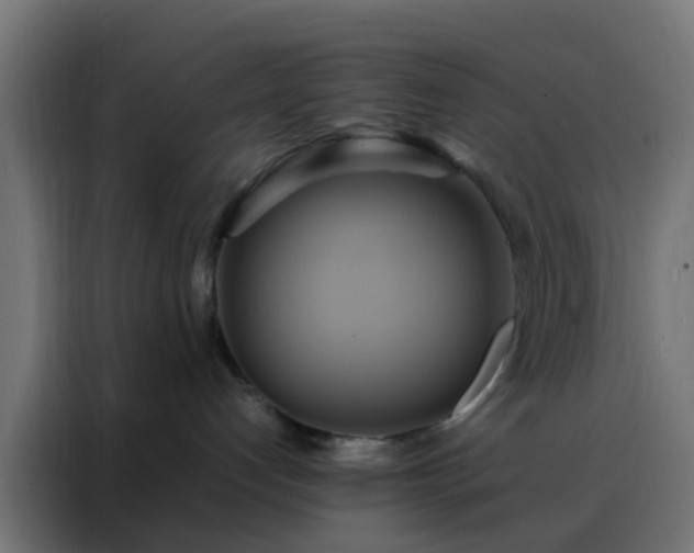 X0000088210192200705221751