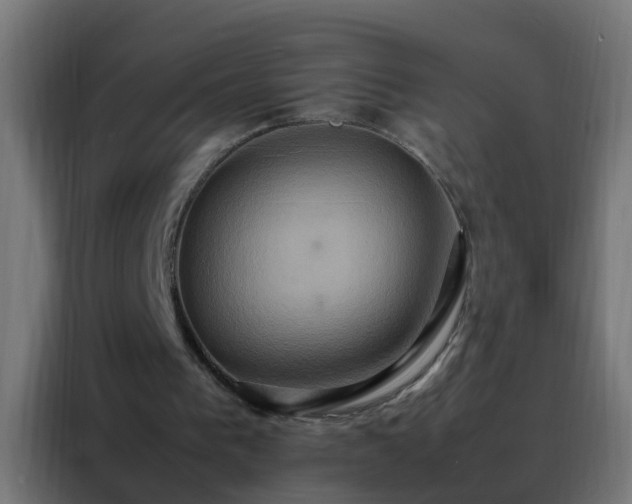 X0000088210193200705221750