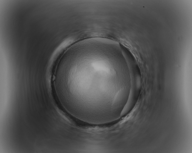 X0000088210197200705221750