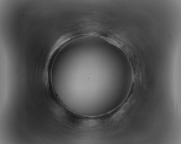 X0000088210198200705221750