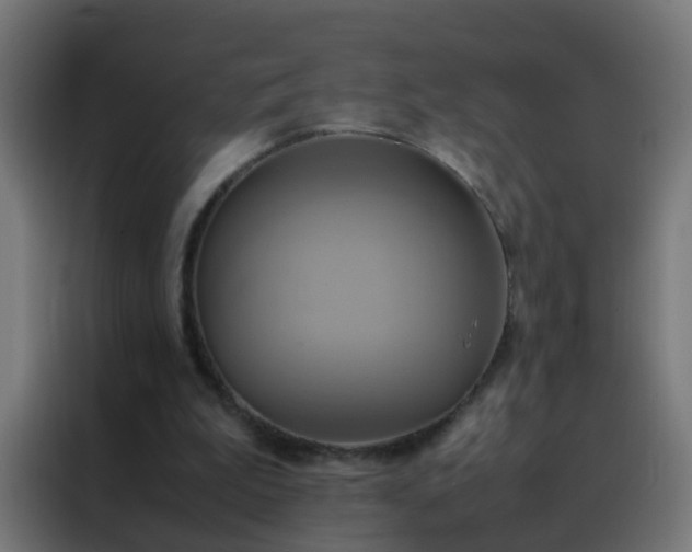 X0000088210199200705221750