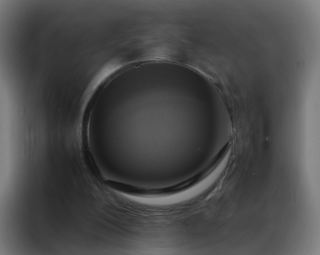 X0000088210200200705221750