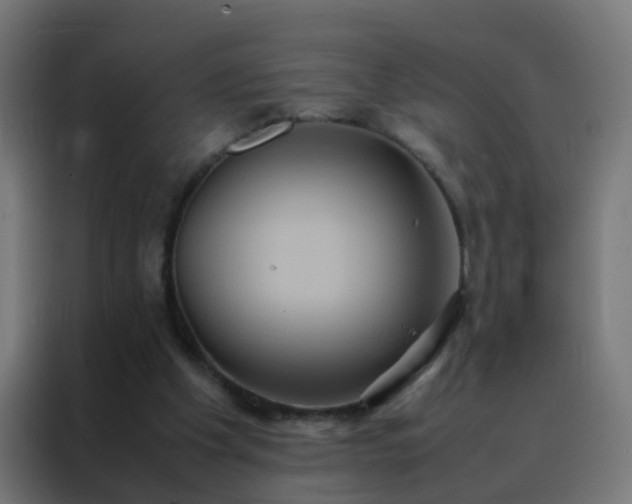 X0000088210201200705221750