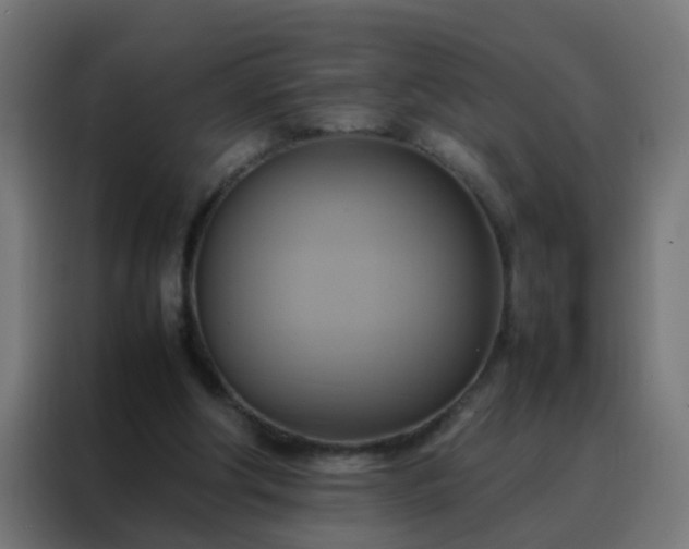 X0000088210202200705221750