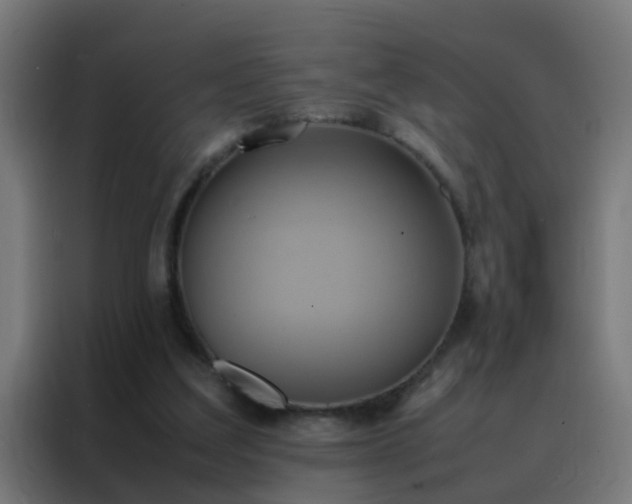 X0000088210203200705221750