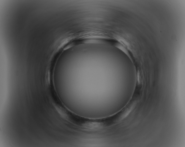 X0000088210205200705221750