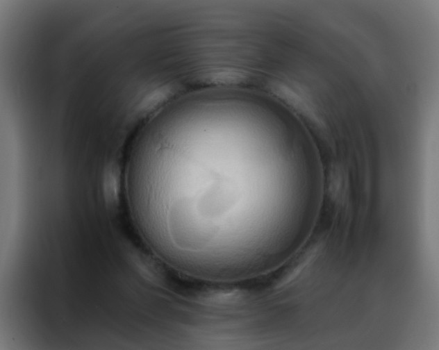 X0000088210206200705221750