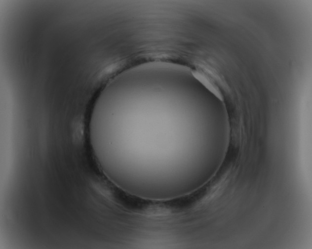 X0000088210207200705221750