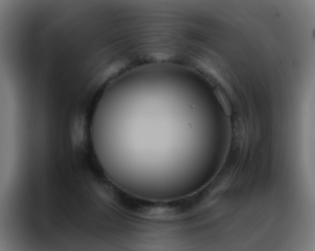 X0000088210212200705221750