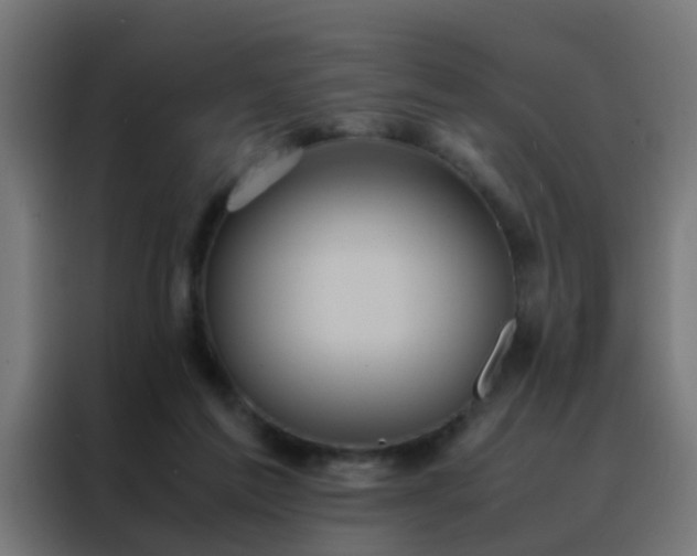 X0000088210213200705221750