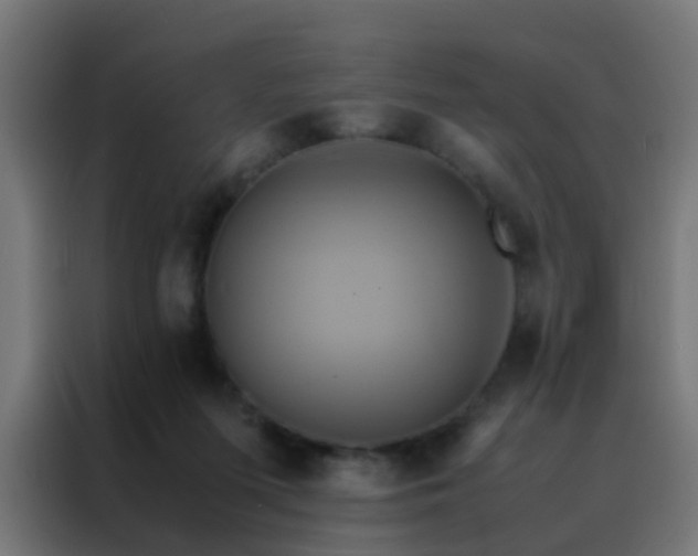 X0000088210215200705221750
