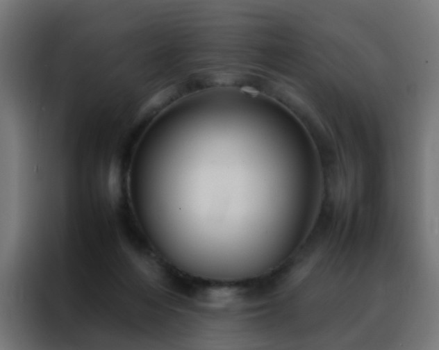 X0000088210216200705221750