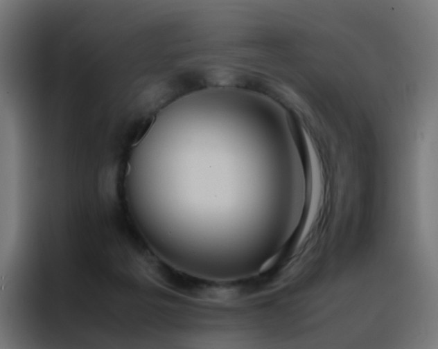 X0000088210217200705221750