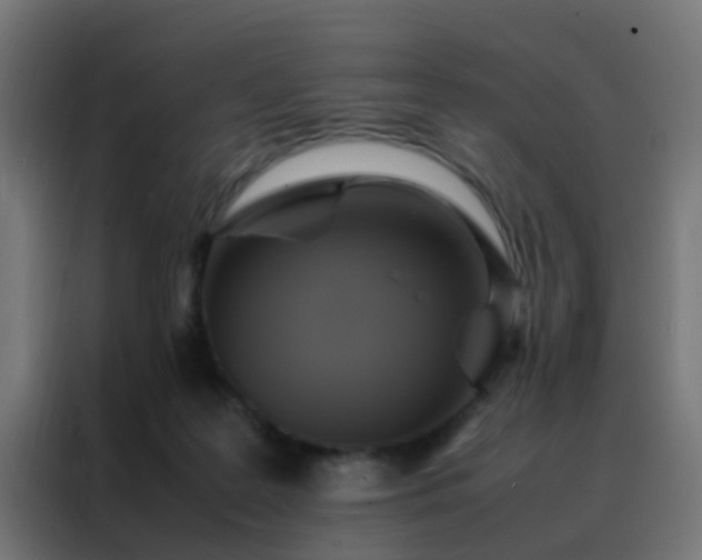 X0000088210219200705221750