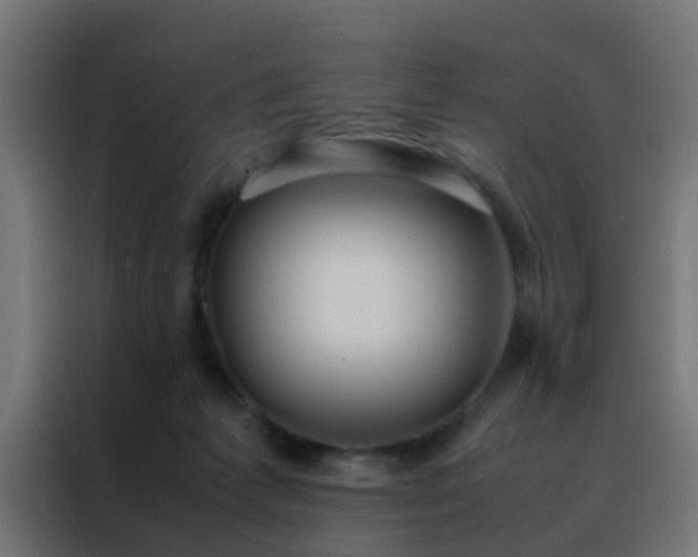 X0000088210221200705221750