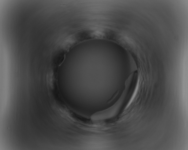 X0000088210223200705221750