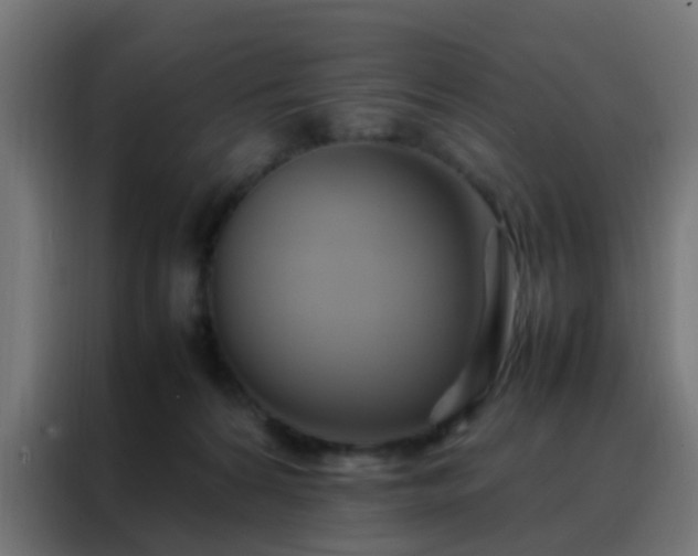 X0000088210224200705221750