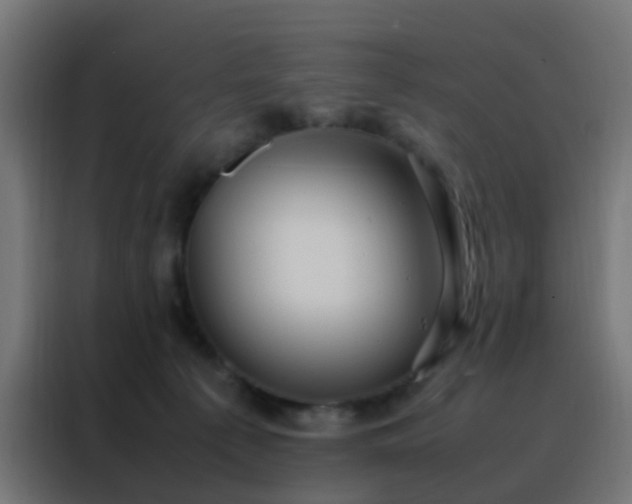 X0000088210225200705221750