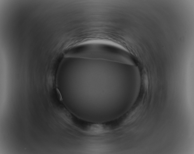 X0000088210227200705221750
