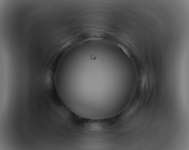 X0000088210228200705221750