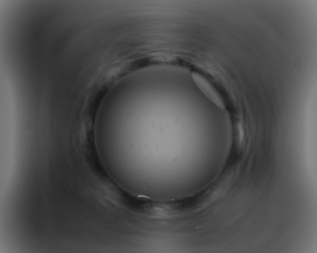 X0000088210229200705221750