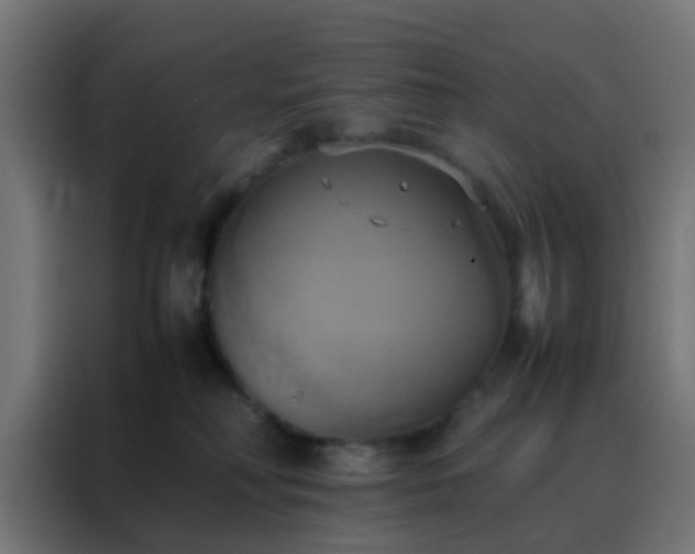 X0000088210230200705221750