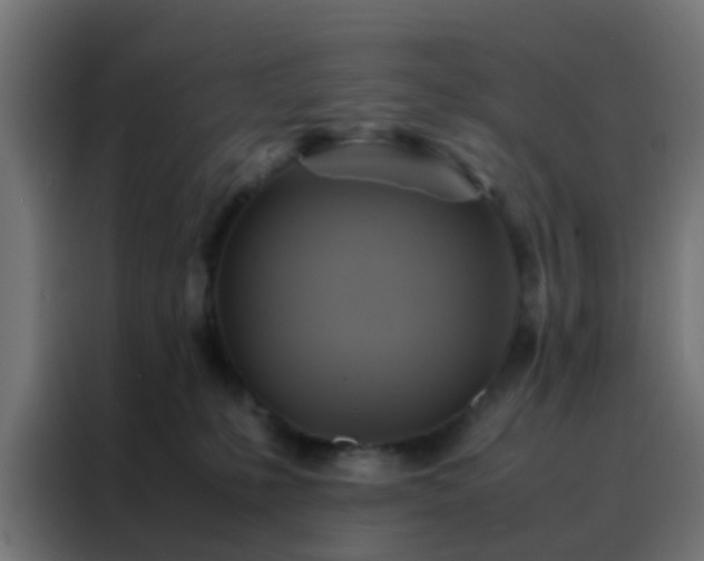 X0000088210231200705221750