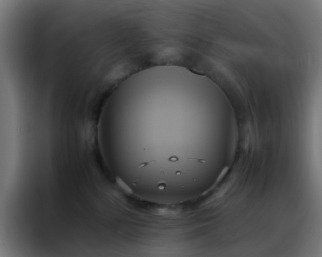 X0000088210232200705221750