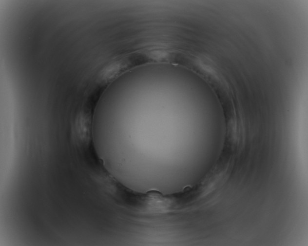 X0000088210234200705221749
