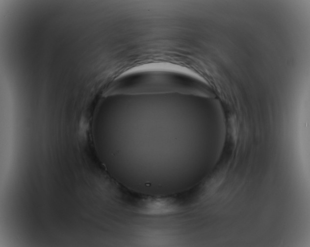 X0000088210235200705221749
