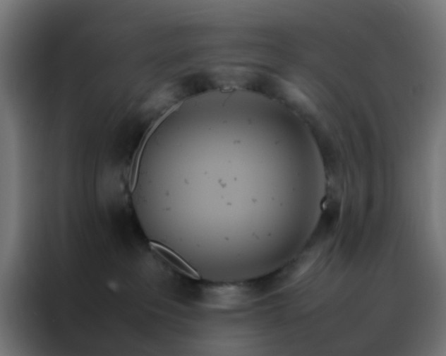 X0000088210237200705221749