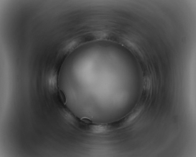 X0000088210238200705221749