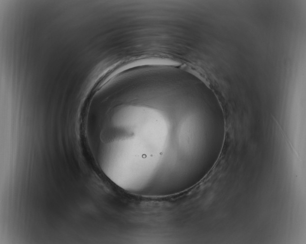 X0000088210242200705221749