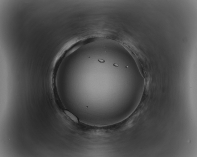 X0000088210244200705221749