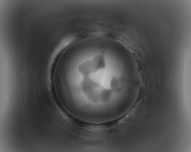 X0000088210245200705221749