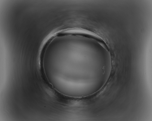X0000088210246200705221749