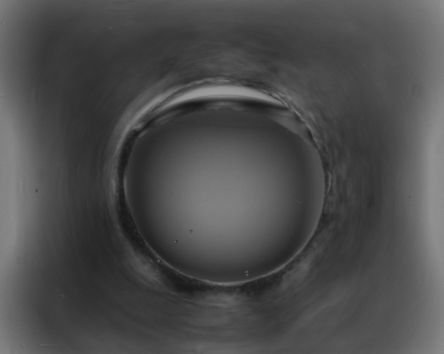 X0000088210247200705221749
