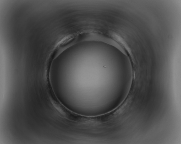 X0000088210249200705221749