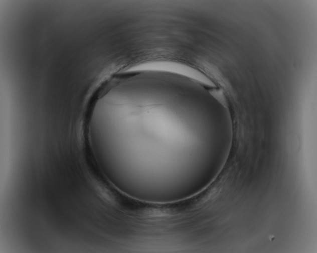 X0000088210250200705221749