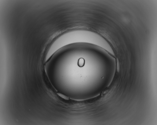 X0000088210252200705221749