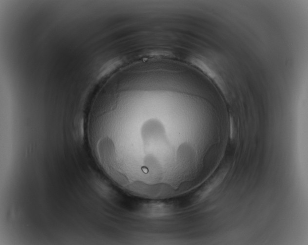 X0000088210253200705221749