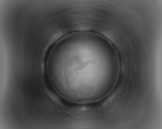 X0000088210254200705221749